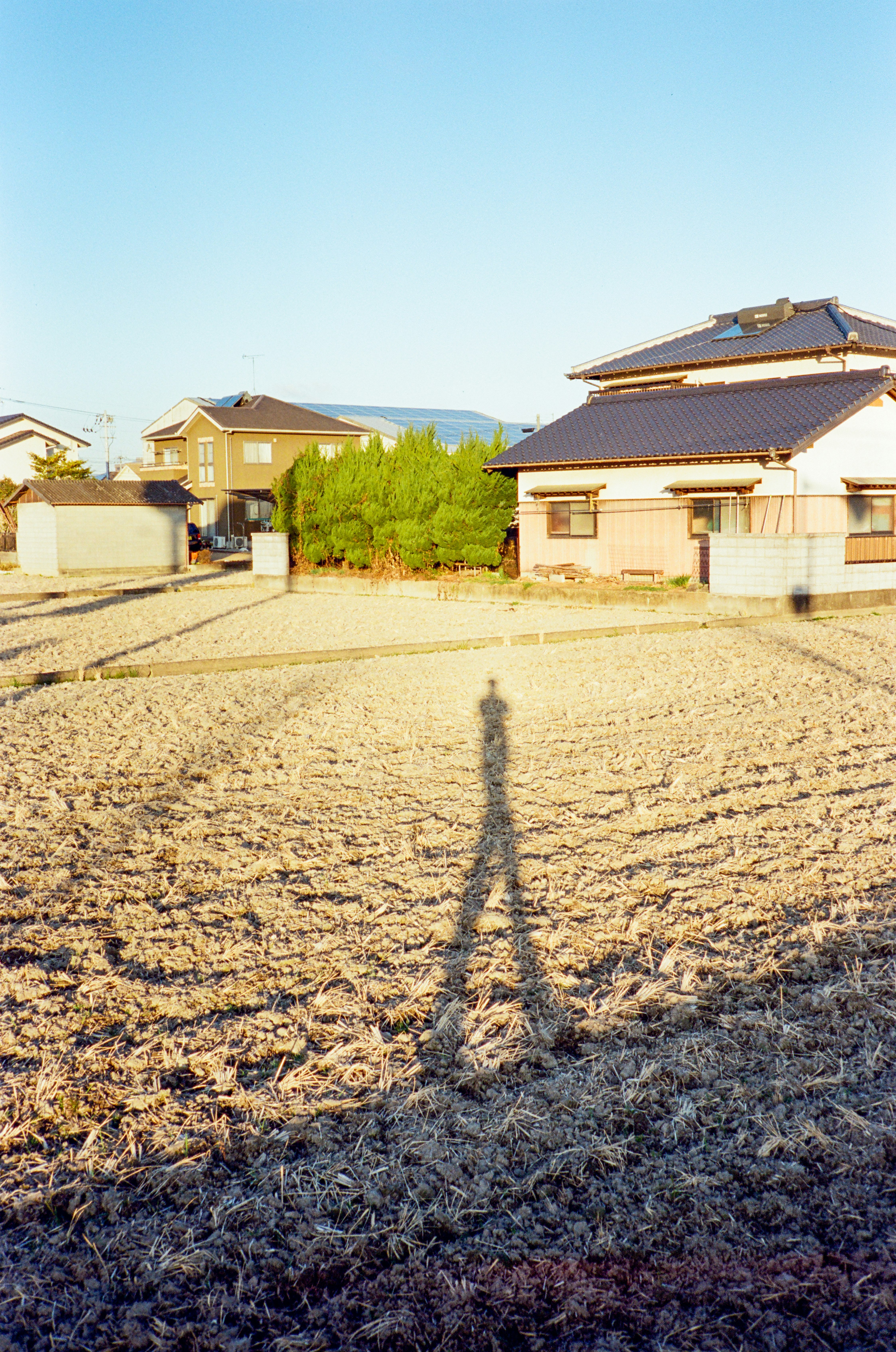 white and brown house near green trees under blue sky during daytime